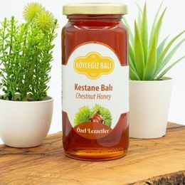 Köyceğiz Balı 330 gr Kestane Balı