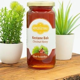 Köyceğiz Balı 330 gr Kestane Balı