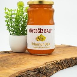 Köyceğiz Balı 450 gr Ihlamur Balı