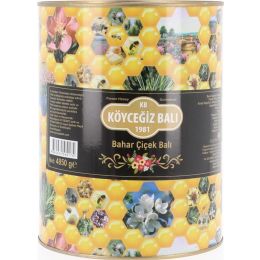 Köyceğiz Balı 4850 gr Teneke Bahar Çiçek Balı