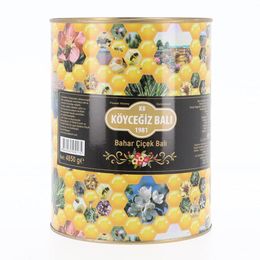 Köyceğiz Balı 4850 gr Teneke Bahar Çiçek Balı