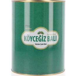 Köyceğiz Balı 4850 gr Teneke Çam Balı