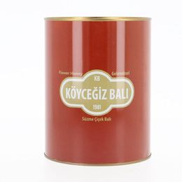 Köyceğiz Balı 4850 gr Teneke Çiçek Balı