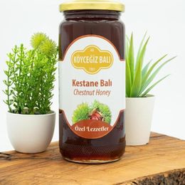 Köyceğiz Balı 660 gr Kestane Balı