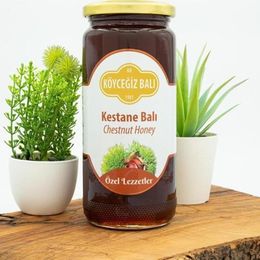 Köyceğiz Balı 660 gr Kestane Balı