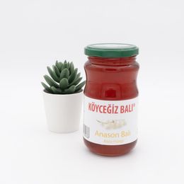 Köyceğiz Balı Anason Balı 450 gr
