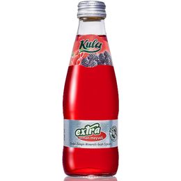 Kula Orman Meyveli 200 ml Maden Suyu