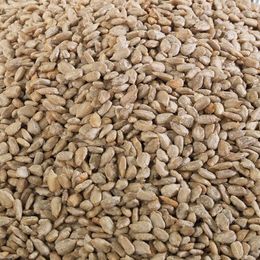 Kurtuluş Kuruyemiş 500 gr Çiğ İç Ayçekirdeği