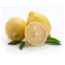 Lamas Limon