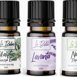 Le Balvo 10 ml Okaliptus Lavanta Nane Doğal Uçucu Saf Buhurdanlık Esansı