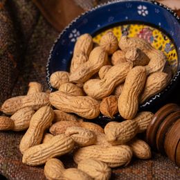 Leblebi Çarşısı 750 gr Tuzsuz Kabuklu Fıstık