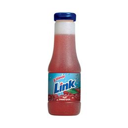 Link 200 ml Vişne Meyveli İçecek