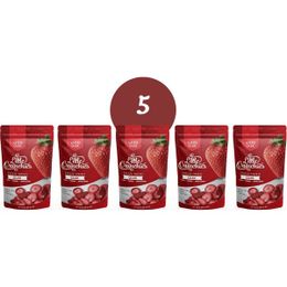 Little Crunchies 5x20 gr Freeze Dried Dondurularak Kurutulmuş Çilek