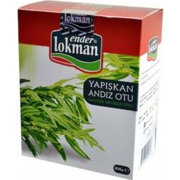 Lokman 210 gr Yapışkan Andız Otu