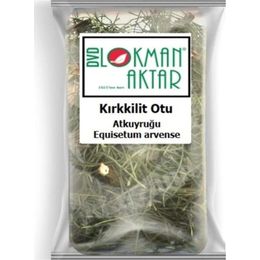 Lokman Aktar 100 gr Kırkkilit Otu