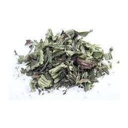 Lokman Aktar 100 gr Sinirli Ot