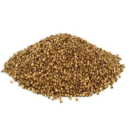 Lokman Aktar 100 gr Tane Kişniş
