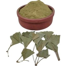 Lokman Aktar 150 gr Gingko Biloba Yaprak Tozu