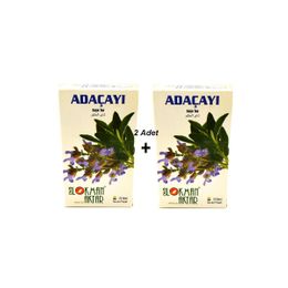 Lokman Aktar 20'li Adaçayı