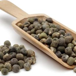 Lokman Aktar 25 gr Bamya Tohumu