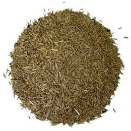 Lokman Aktar 250 gr Çim Tohumu