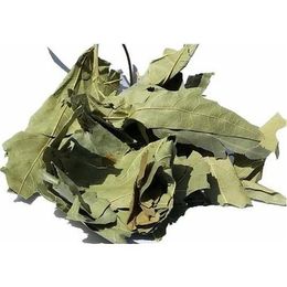 Lokman Aktar 250 gr Çınar Yaprağı
