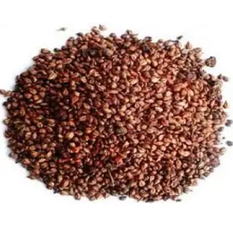 Lokman Aktar 250 gr Tane Siyah Üzüm Çekirdeği