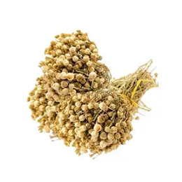 Lokman Aktar 250 gr Üzerlik Otu