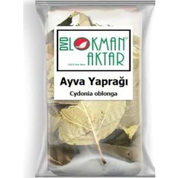 Lokman Aktar 50 gr Ayva Yaprağı