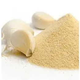 Lokman Aktar 50 gr Sarımsak Tozu