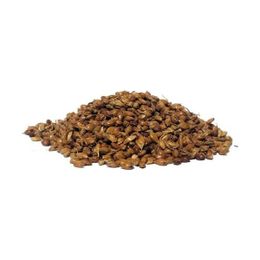 Lokman Aktar 50 gr Süpürge Otu Tohumu
