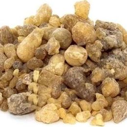 Lokman Aktar 500 gr Akgünlük Günlük Sığla Ağacı Sakızı