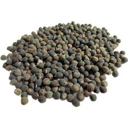 Lokman Aktar 500 gr Bamya Tohumu