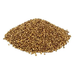 Lokman Aktar 500 gr Tane Kişniş