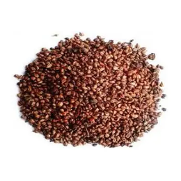 Lokman Aktar 500 gr Tane Siyah Üzüm Çekirdeği