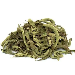 Lokman Aktar Limon Kokulu 100 gr Melisa