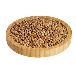 Lokman Hekim Baharat 100 gr Tane Kişniş