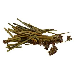 LokmanAVM 100 gr Doğal Kayışkıran Otu