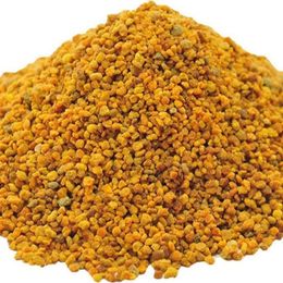 LokmanAvm 100 gr Saf Kurutulmuş Katkısız Doğal Polen