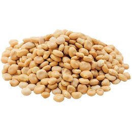 LokmanAvm 50 gr Acı Bakla Tohumu