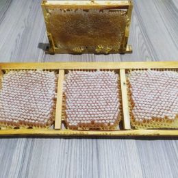 M&A Acar Süt 1850 gr Kara Kovan Bal
