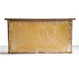 M&A Acar Süt 1850 gr Kara Kovan Bal