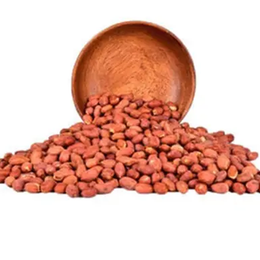 Malatya Pazarı 500 gr Tuzsuz Yer Fıstık
