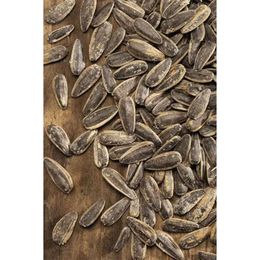 Malatya Pazarı Murat Palancı 14x180 gr Bol Tuzlu Siyah Çekirdek