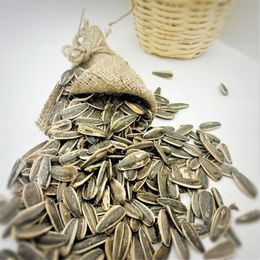 Maras Market 500 gr Tuzlu Siyah Çekirdek