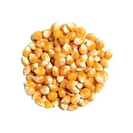 Mare Çiftliği 500 gr Cin Mısır