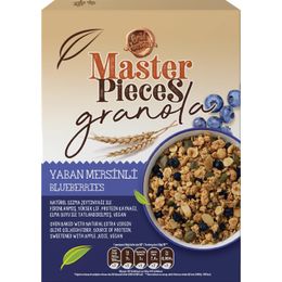Master Pieces 300 gr Yaban Mersinli Granola