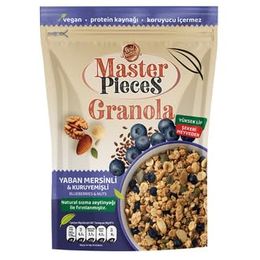 Master Pieces 300 gr Yaban Mersinli Granola