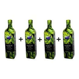 Mecitefendi 4x1 lt Enginar Suyu