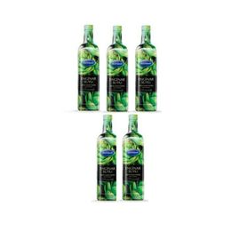 Mecitefendi 5x1 lt Enginar Suyu